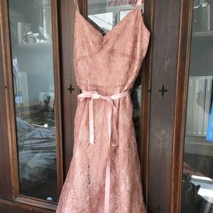 New Anne Taylor Lace Dress